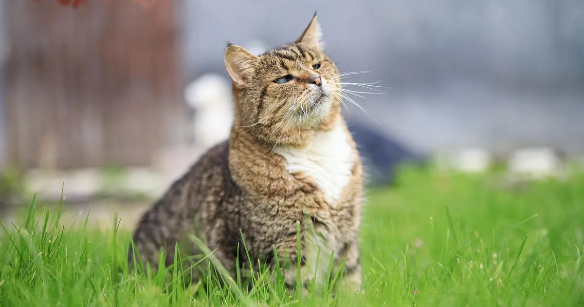 Elian võitleb vapralt oma elu eest: ta pidi surema juba 2 kuud tagasi...