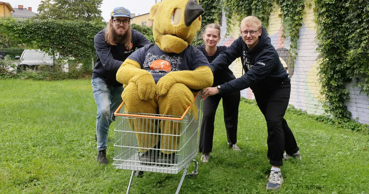 Tudengipäevad lähenevad: käruralli kolib Pirogovi parki, Kassitoomest saab sokimaadluse areen