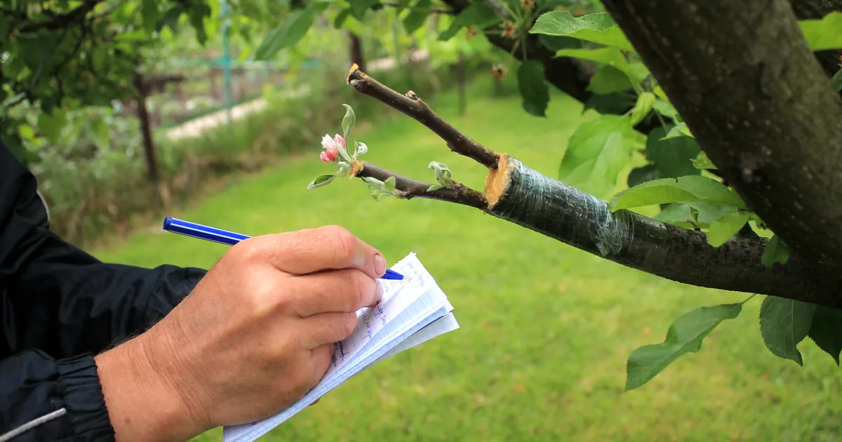 LUGEMISSOOVITUS ⟩ Kohustuslik lugemine igale vähegi taimehuvilisele eestlasele