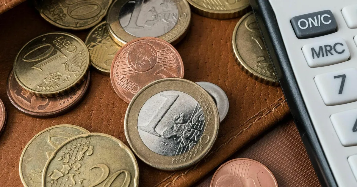 Kümnelt tuhandelt perelt oodatakse kulutuste andmeid