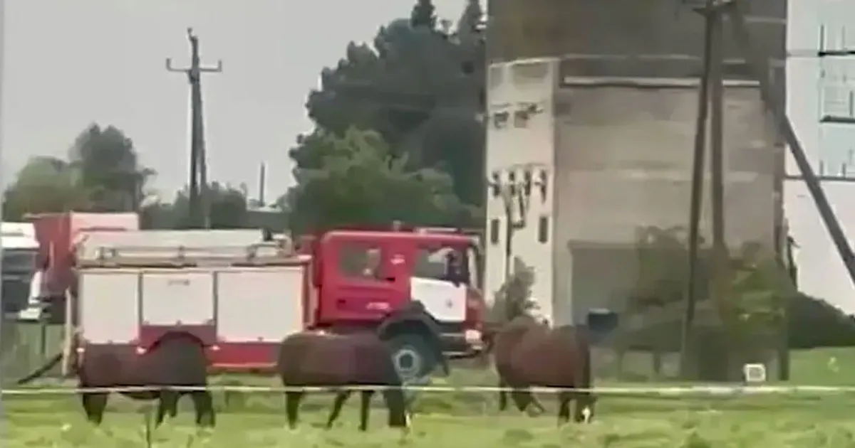 «MIS JUHTUS?» ⟩ Raplamaal Kehtnas jäid möödujale silma tööstushoone juurde kogunenud päästeautod