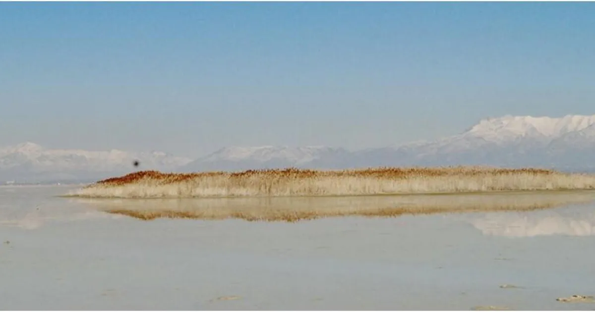 Utah soolajärvest leiti midagi tavatut, mis paneb seal taimed vohama