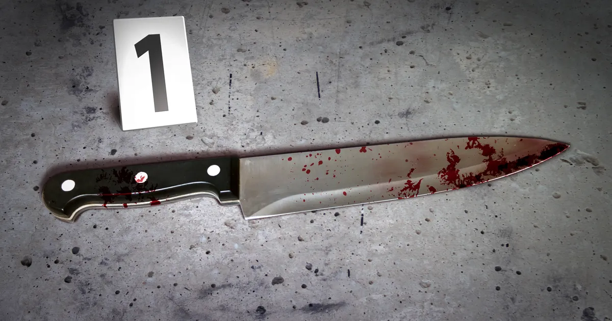 HÄIRIV VIDEO ⟩ Miami veretöö: eakas elanik pussitas elumaja haldajat