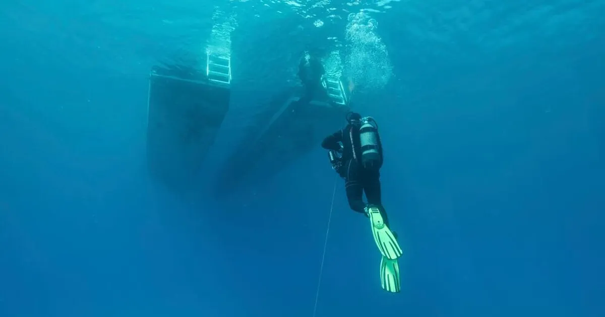 Disney Springsi restoran sattus veidra «sukeldumisröövi» ohvriks