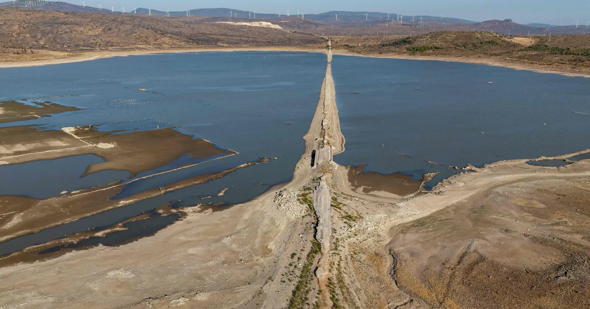 Türgit kimbutab viimase poole sajandi rängim põud