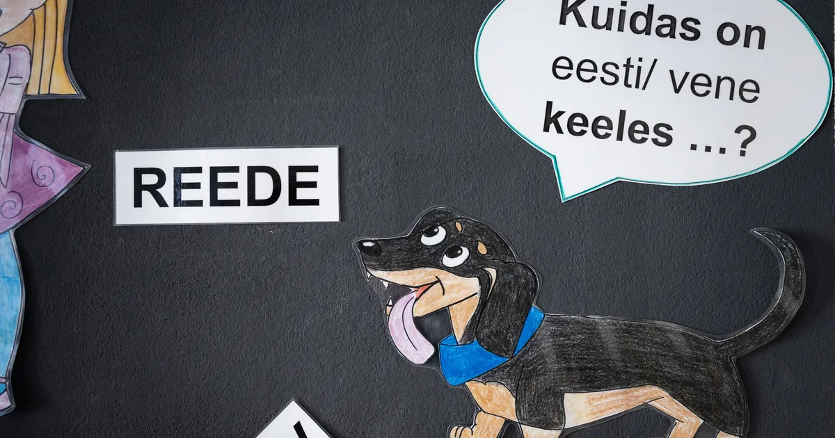 Üllatav ülejääk: eestikeelsele õppele üleminek on kujunenud seni 18 miljonit odavamaks