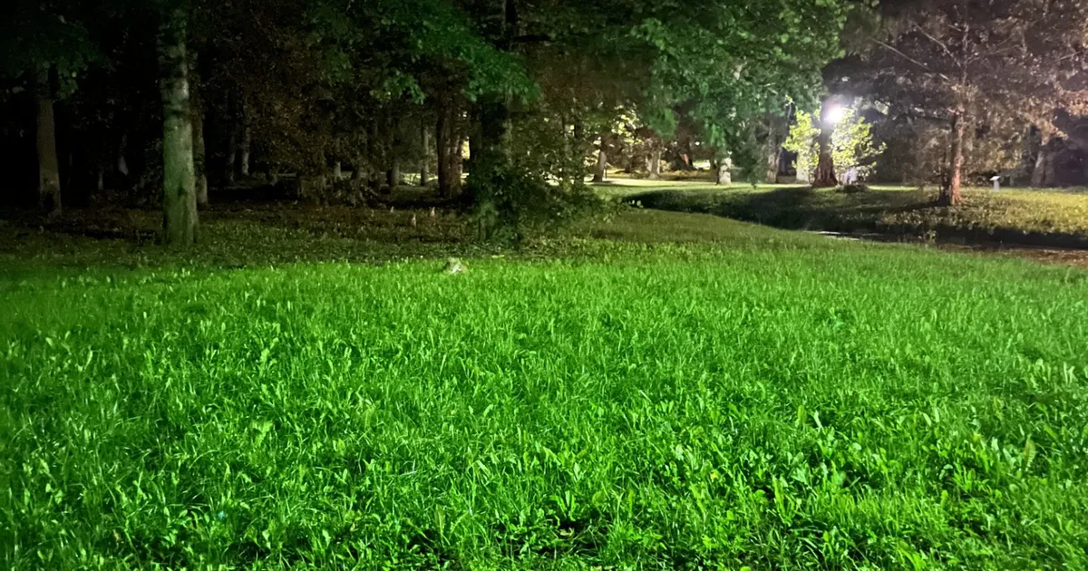 FOTOD ⟩ «Seisin nendega üksi keset parki!» Viimsi elanik kohtus ööpimeduses ootamatu vastasega