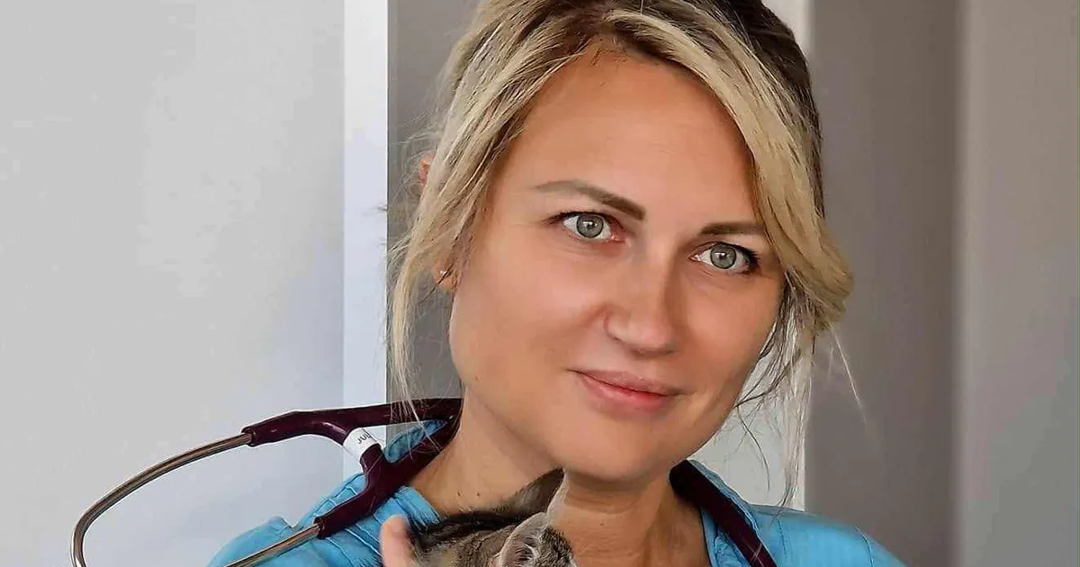 INTERVJUU ⟩ Loomaarst lükkab ümber levinud valearusaamad, mis inimestel kasside kohta on