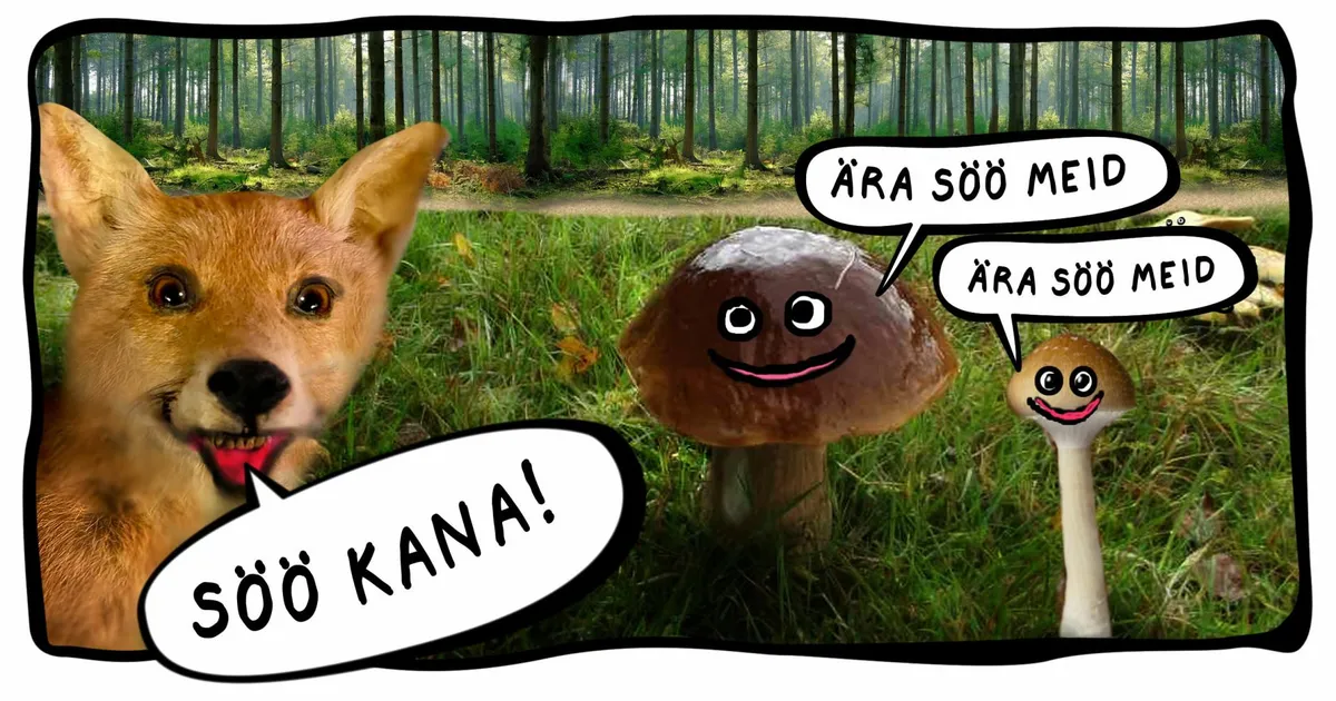 JUURIKAS ⟩ Allan Hmelnitski joonistus