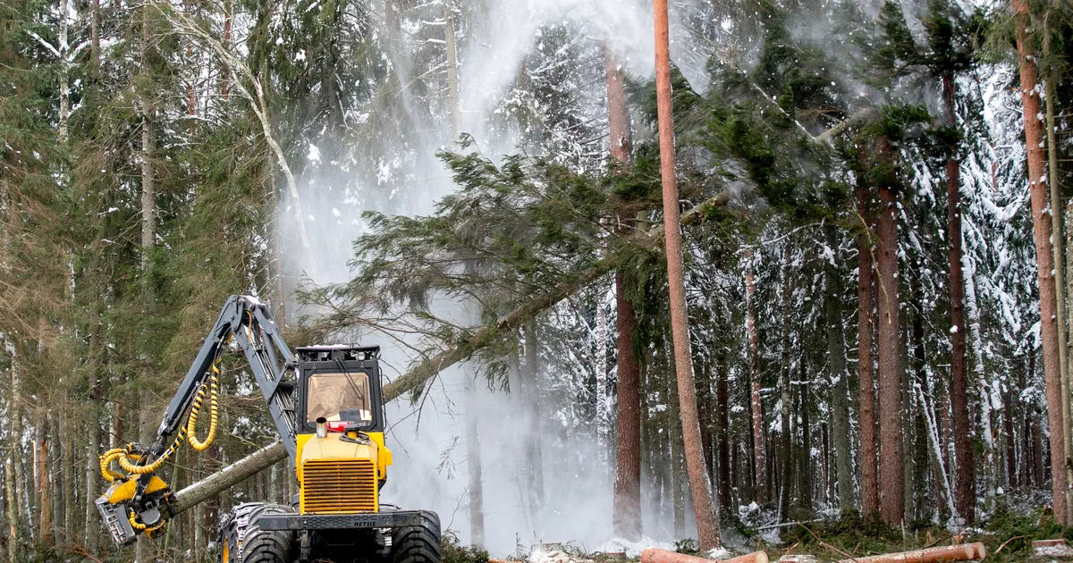 Saartele suunduv porine tehnika võib saada keelu praamile pääsuks