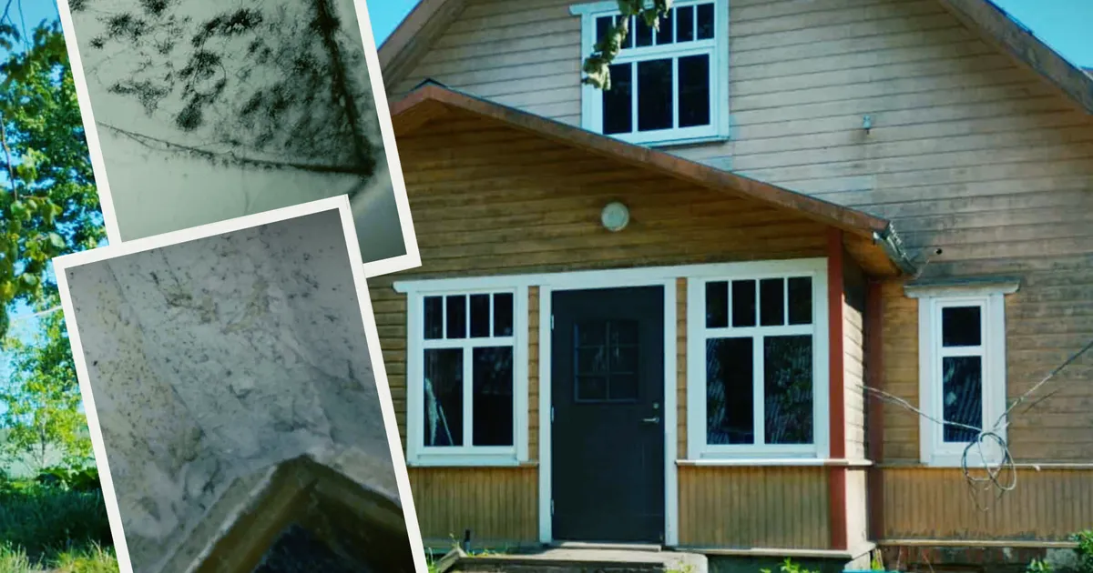 ESMASPÄEVAL «KUUUURIJAS» ⟩ Suurpere unistuste kodu kattus sügise saabudes vohava hallitusega