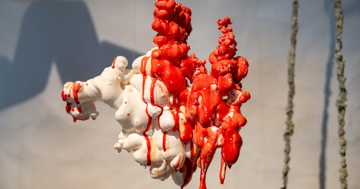 GALERII ⟩ Vaata, mida kujutab endast transaineline rikkus