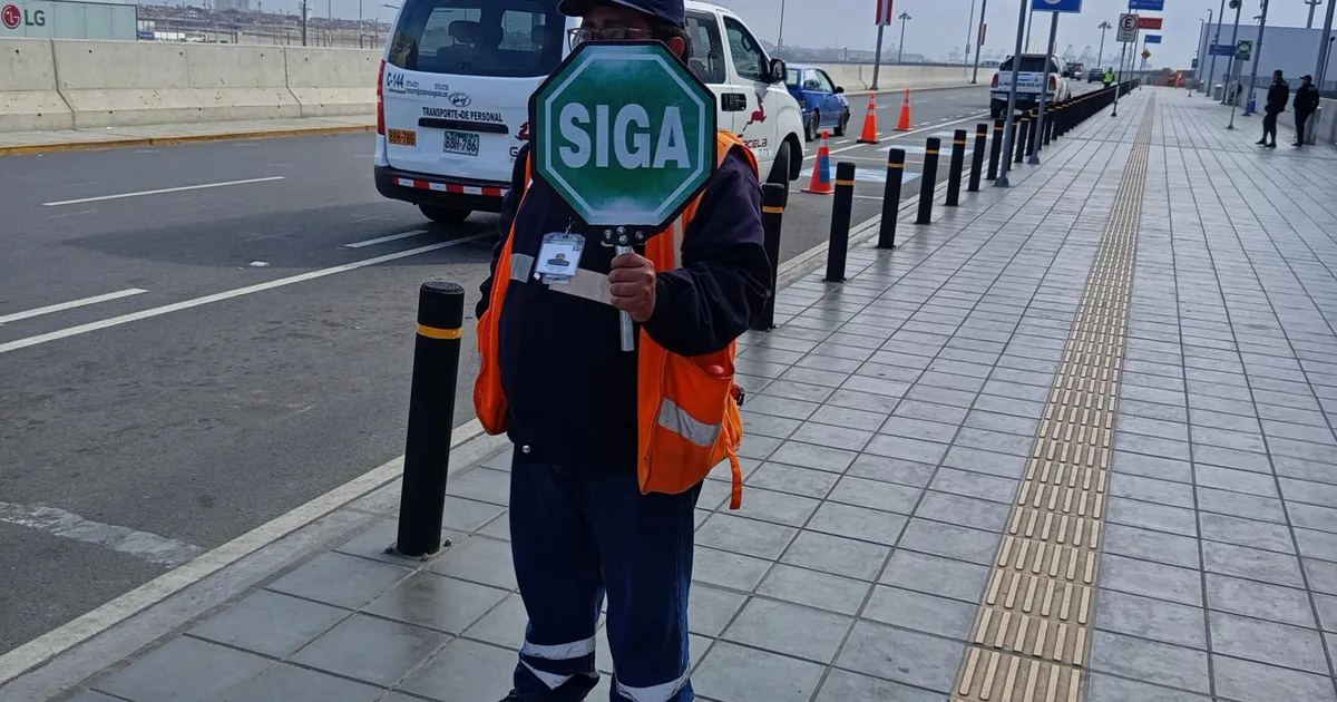 SINNA JA TAGASI ⟩ Heategija ja kõrilõikaja