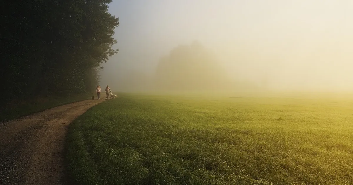 FOTOD ⟩ Pärnumaa naine nägi hommikutaevas haruldast nähtust: vikerkaare «kahvatu sugulane»