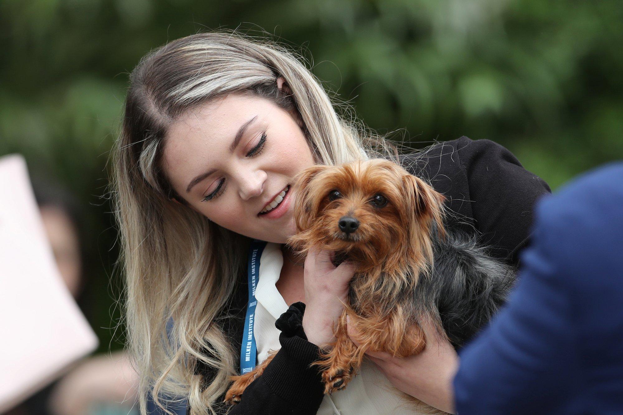 Uuring: lemmiklooma kindlustamist kaalub iga kuues inimene