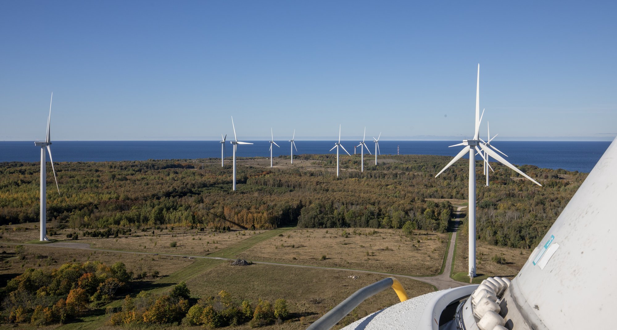 Rein Sikk: tuulikuärimehed ise on süüdi, et tuulikuid vihatakse