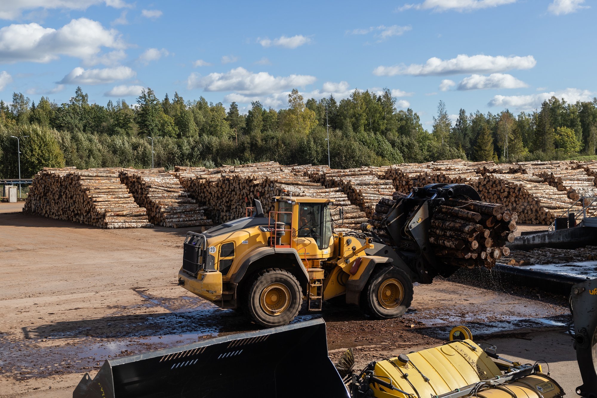 Värske uuring: Vene puit jõuab Ühendkuningriigi turule – ka Eesti kaudu