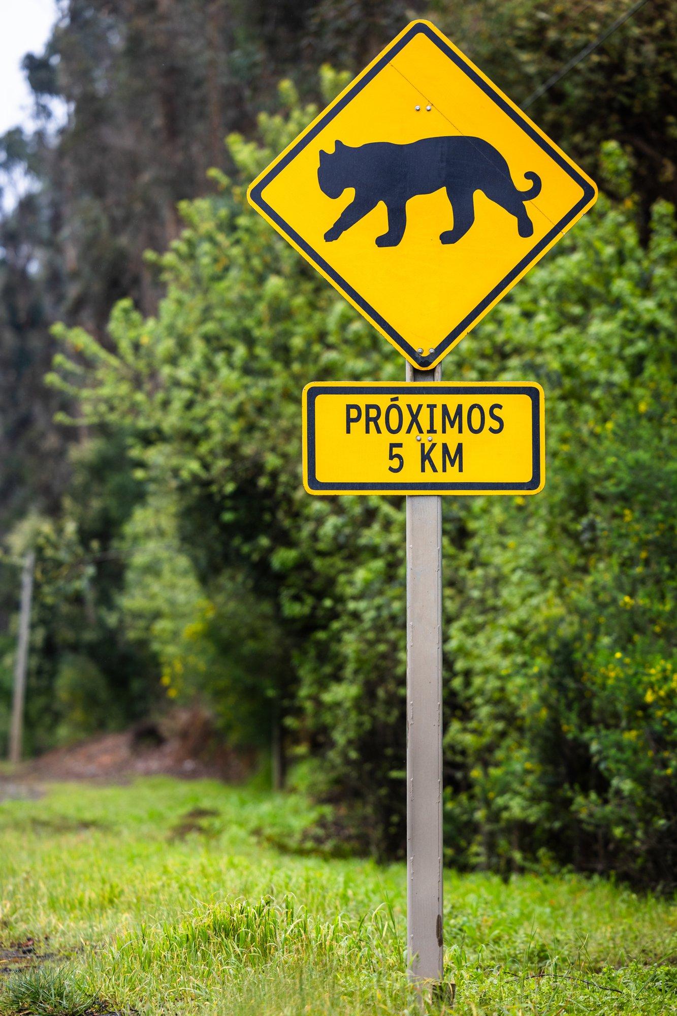 SUURES PILDIS | Timo Anise 10 kaadrit Tšiilist. Maalilised vaated ja ootamatud hoiatusmärgid