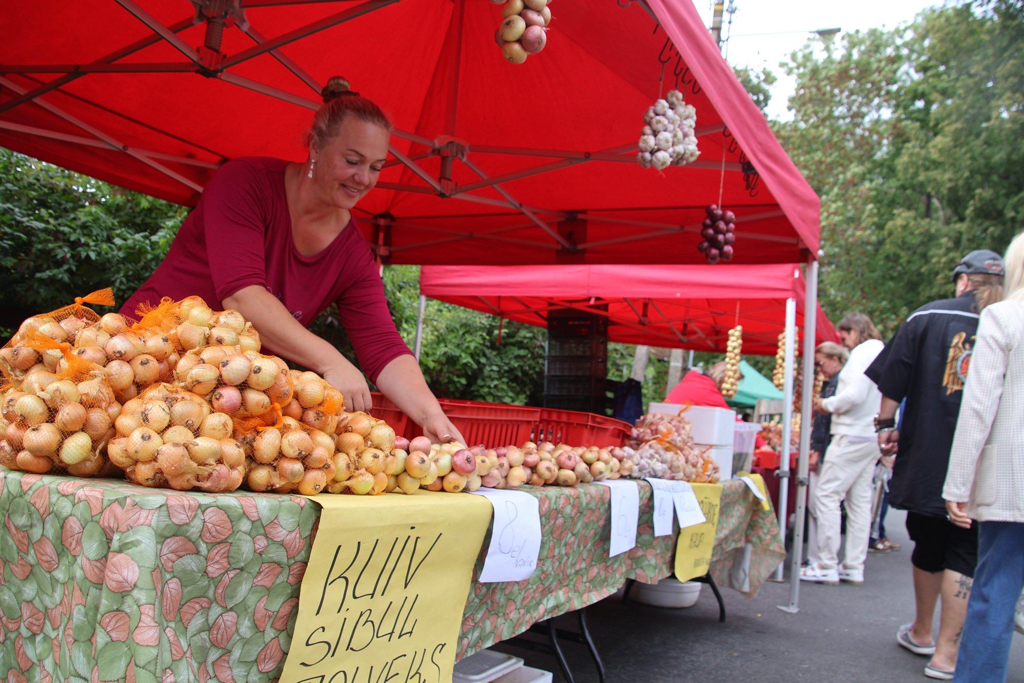 FOTOD | Peipsi sibulakasvatajad hoiatavad: mugulaid jätkub müügiks veel ehk mõneks nädalaks
