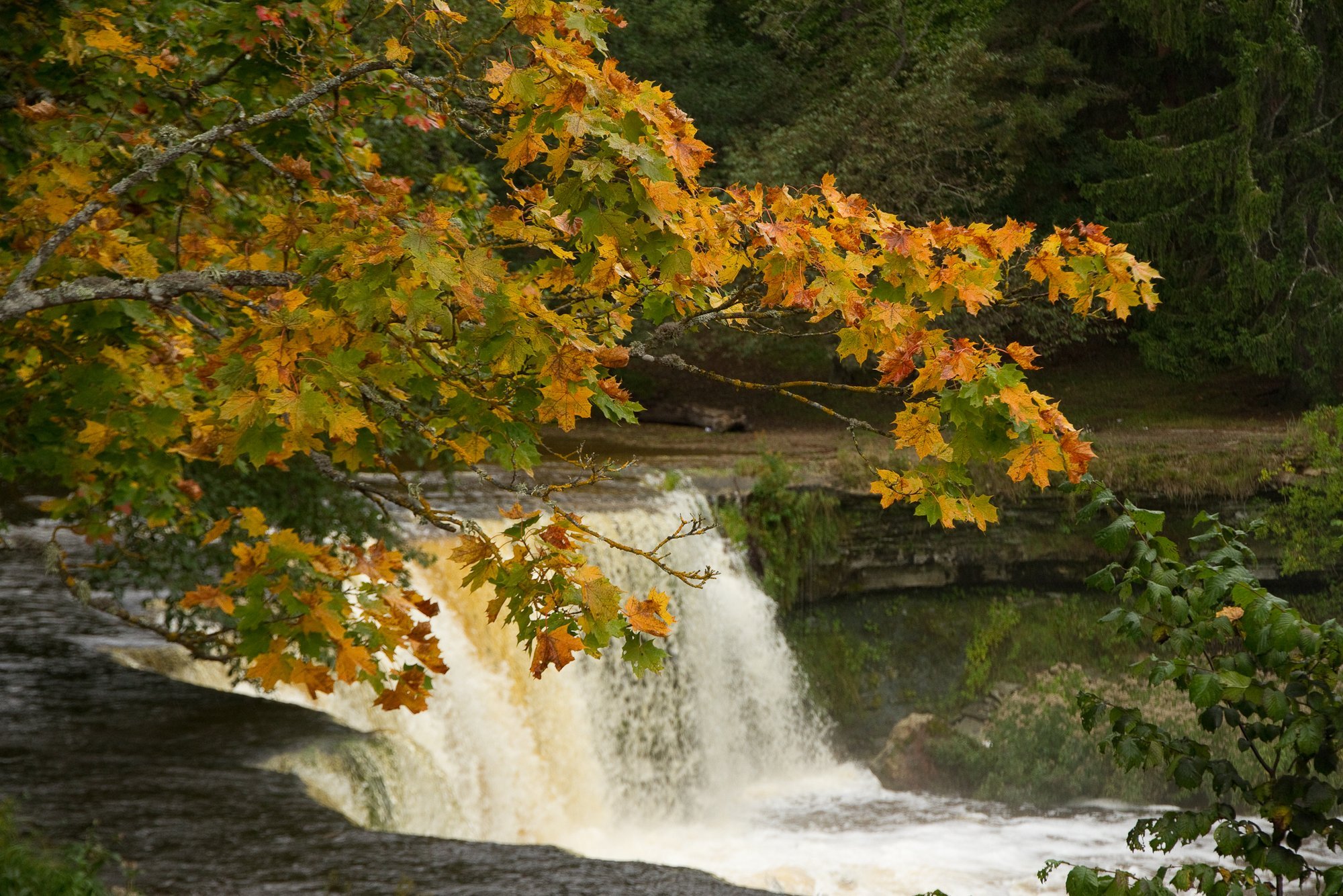 ILMAPROGNOOS | Kuivemad päevad toovad kaasa ka jaheduse sissetungi