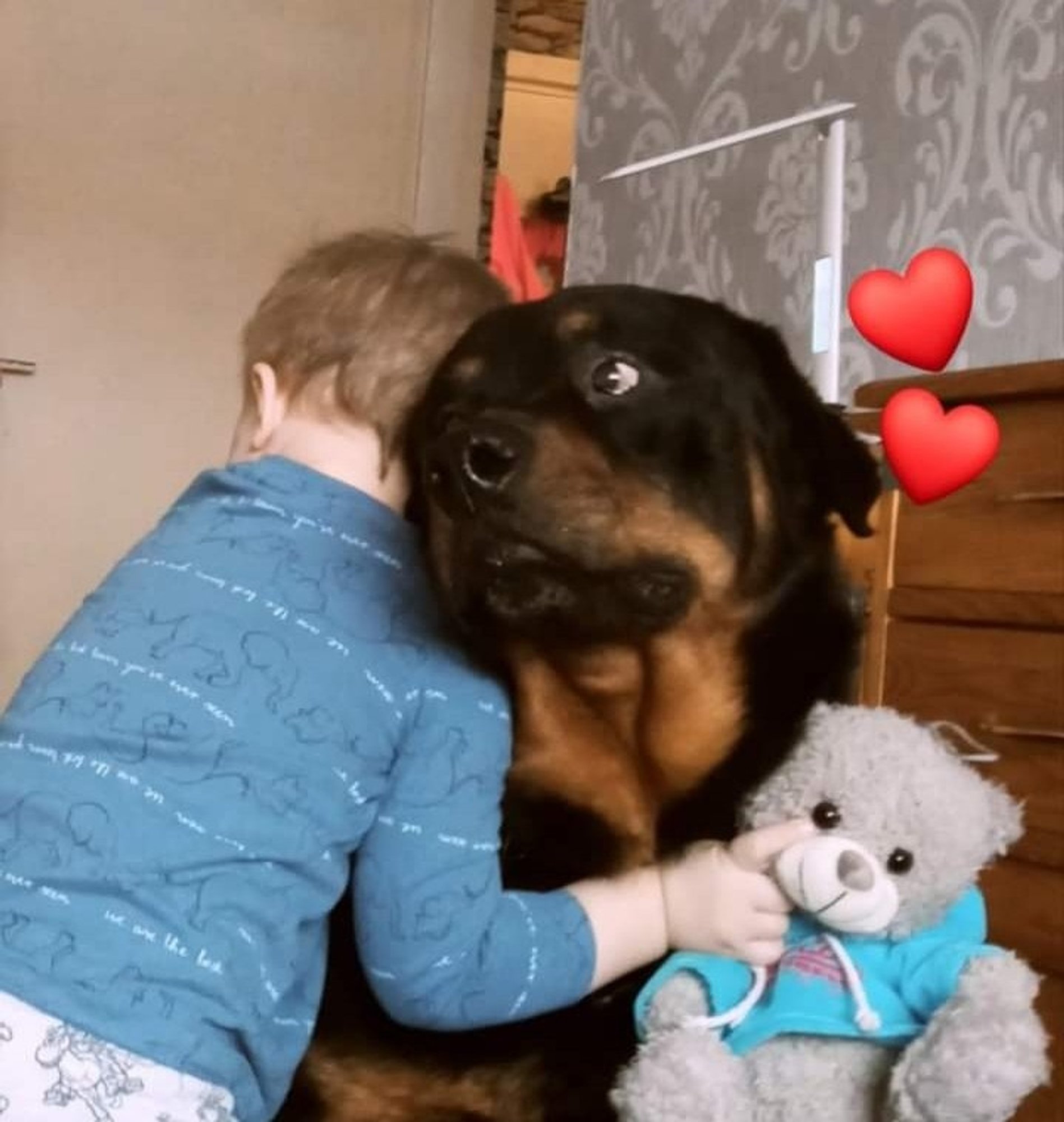 „Ta suri väga õudset surma!“ Loetud tunnid pärast loomaarstil käiku Paksut enam ei olnud