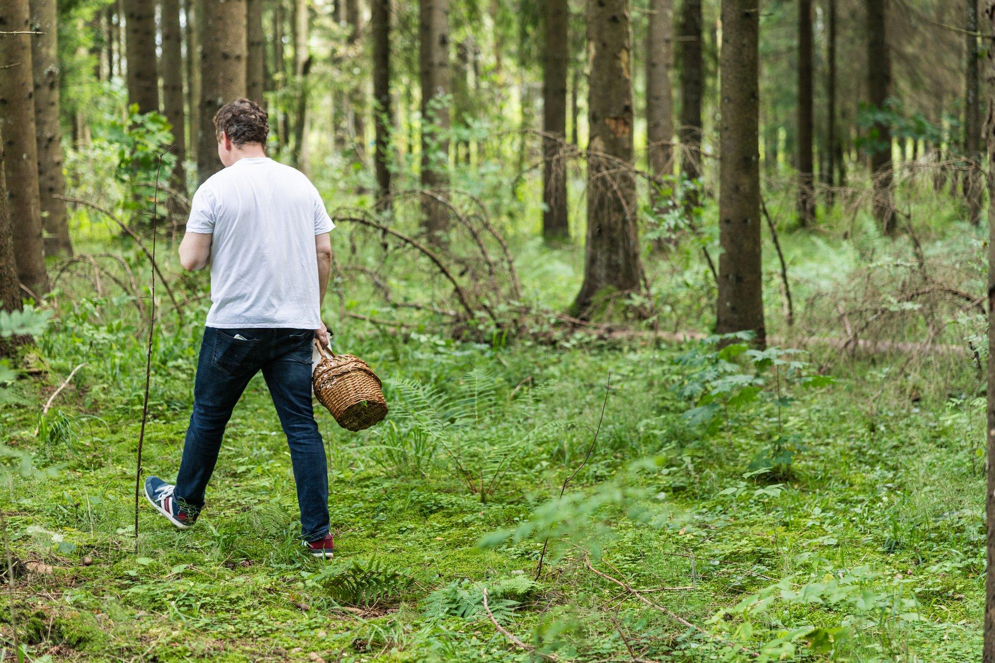 KASULIK | Mida tasub seenele ja marjule minnes meeles pidada?