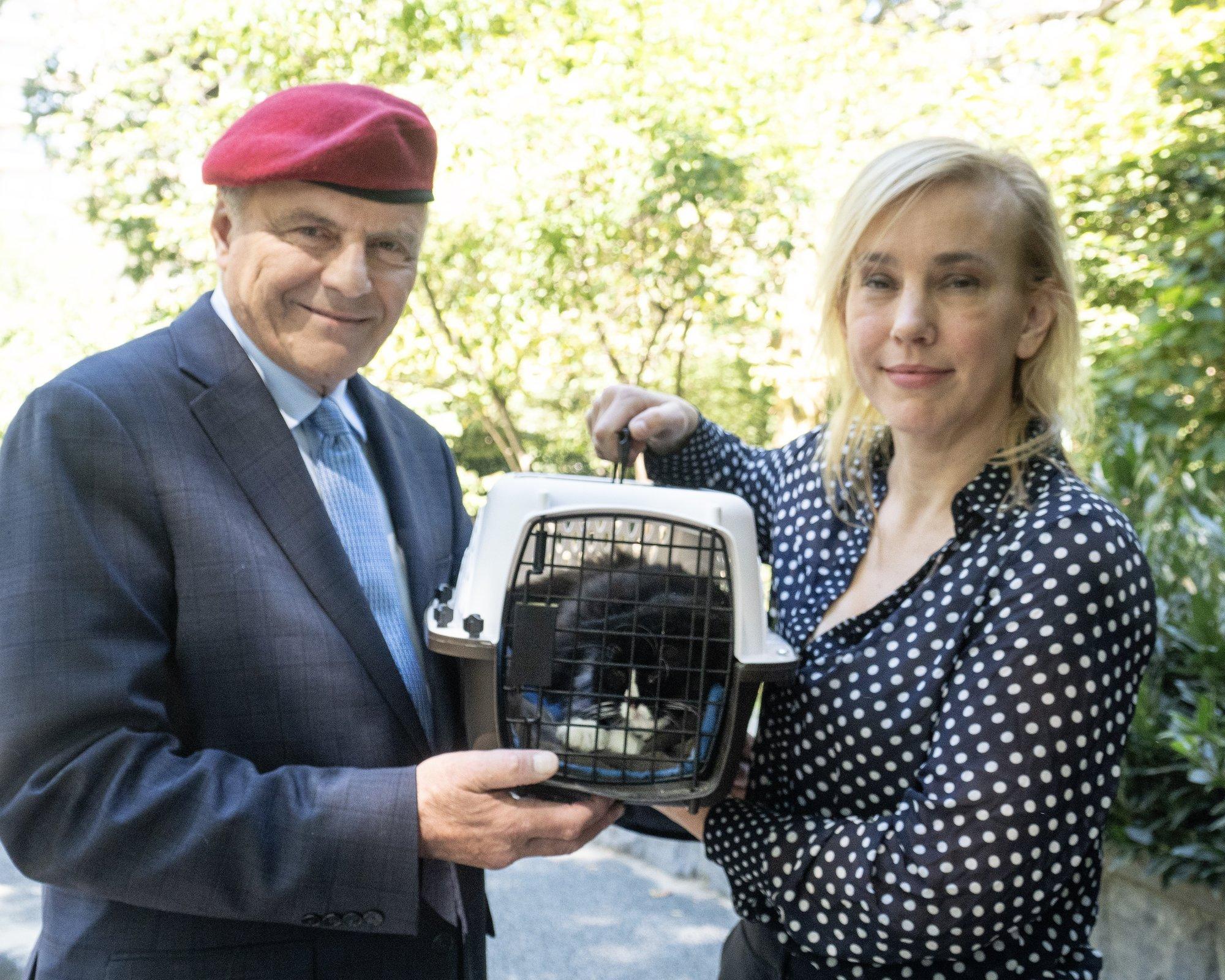 Linnapeakandidaadi uudne lahendus: New Yorgi kodutud kassid saavad tööd rottide rappijatena