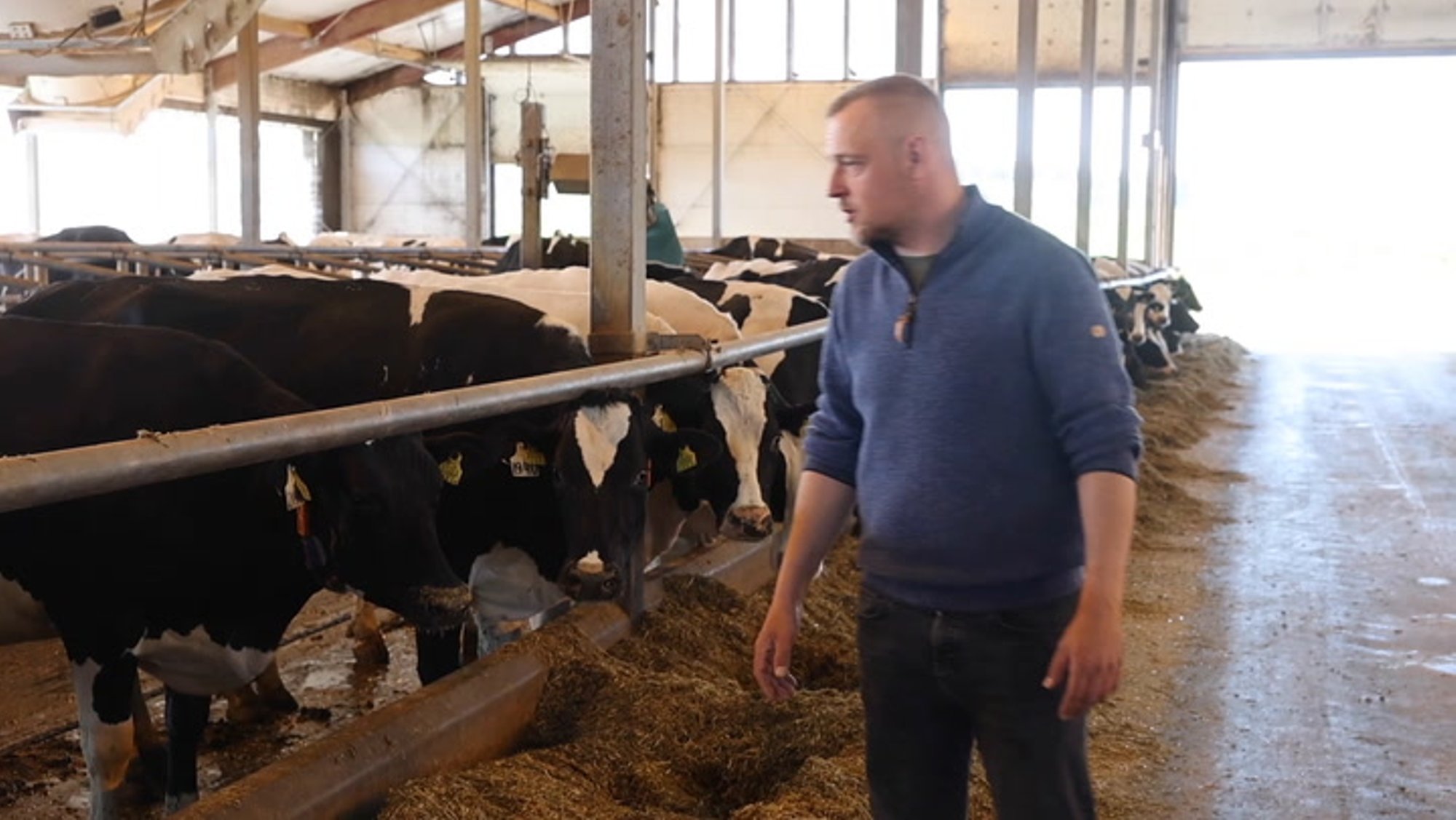 Parim piimakarjakasvataja Sven Tammoja vastutab 5000 veise heaolu eest