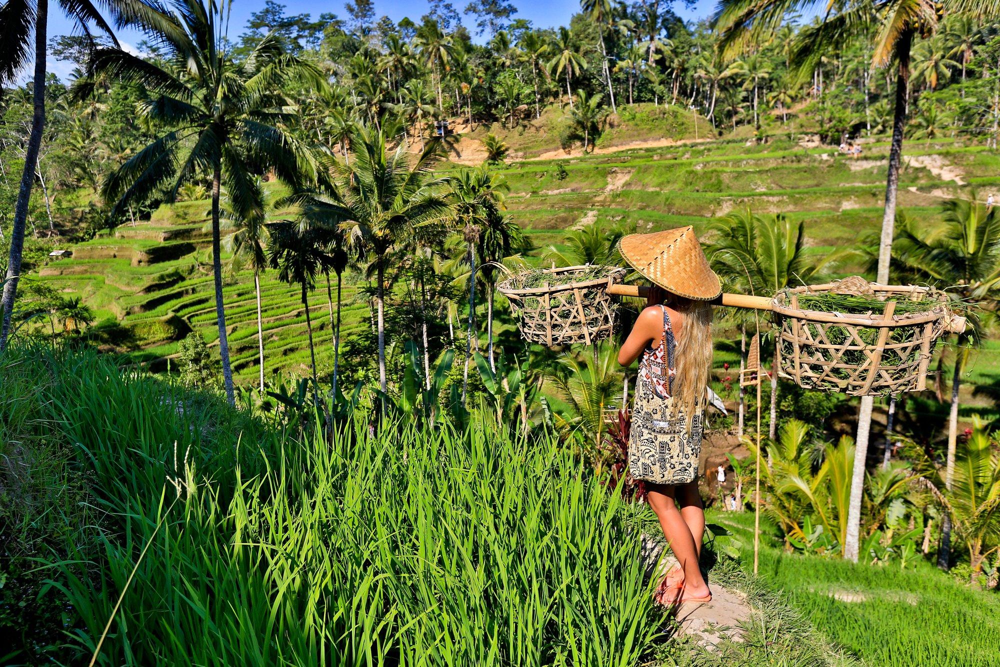 SELGITUS | Kas reis Balile on Indoneesias jätkuvate vägivaldsete protestide ajal ikka ohutu?