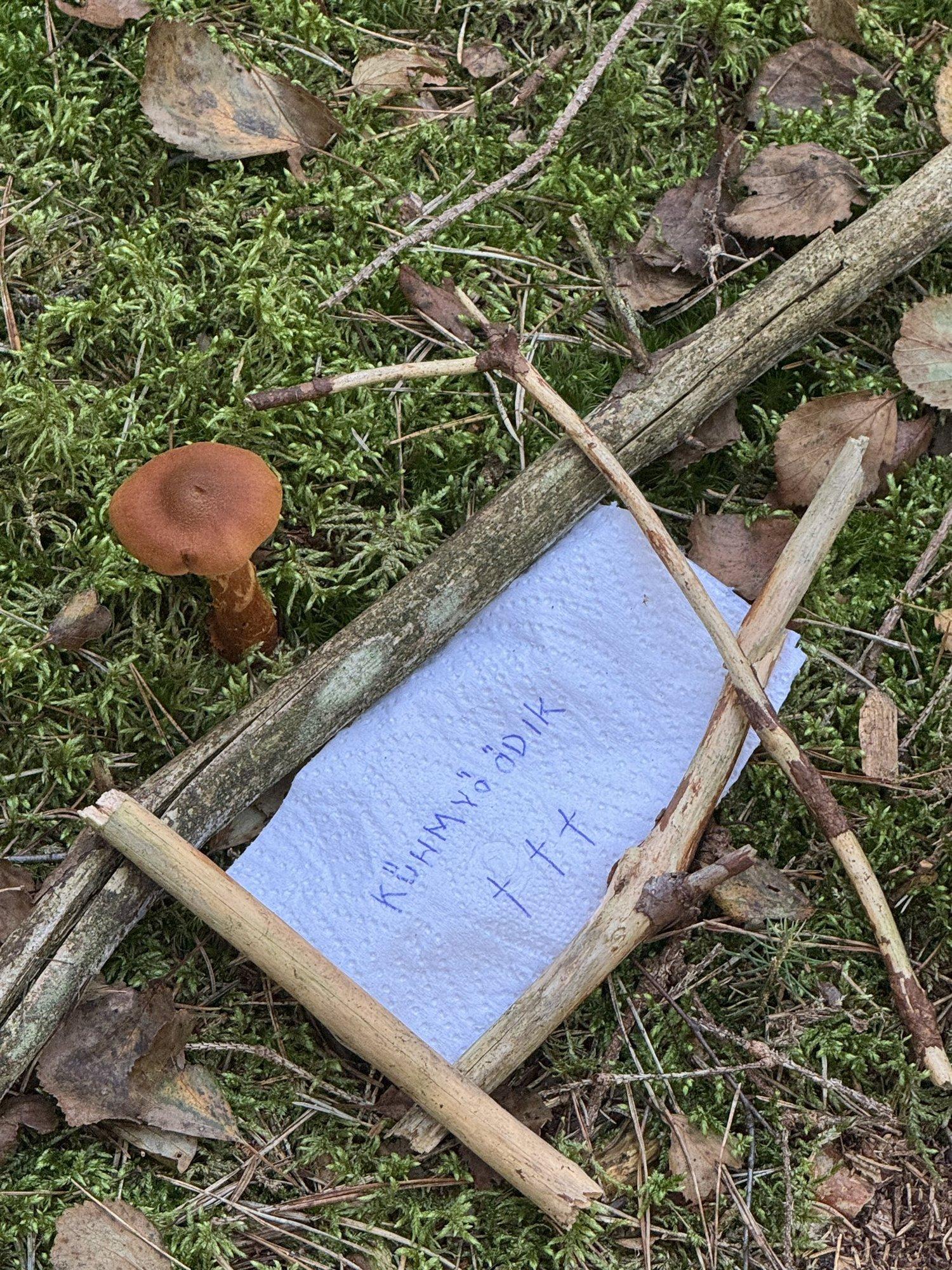 FOTO | Surmavalt mürgise seene kõrvale oli jäetud hoiatav silt