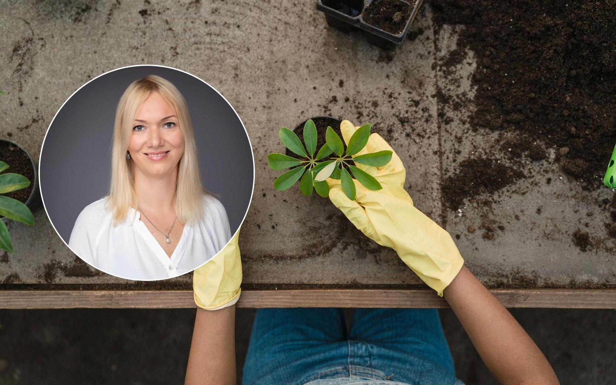 VAIMSE TERVISE HEAKS | Veel jõuab näpud mulda pista! Aed võib olla koht, kus paraneb meel ja tugevneb keha