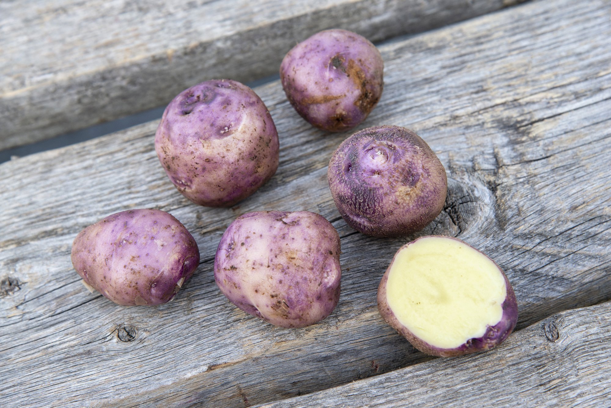 ’Väike verev’ on pisikeste mugulatega kartul, mis üllatab hea maitsega ning ei kee kunagi katki