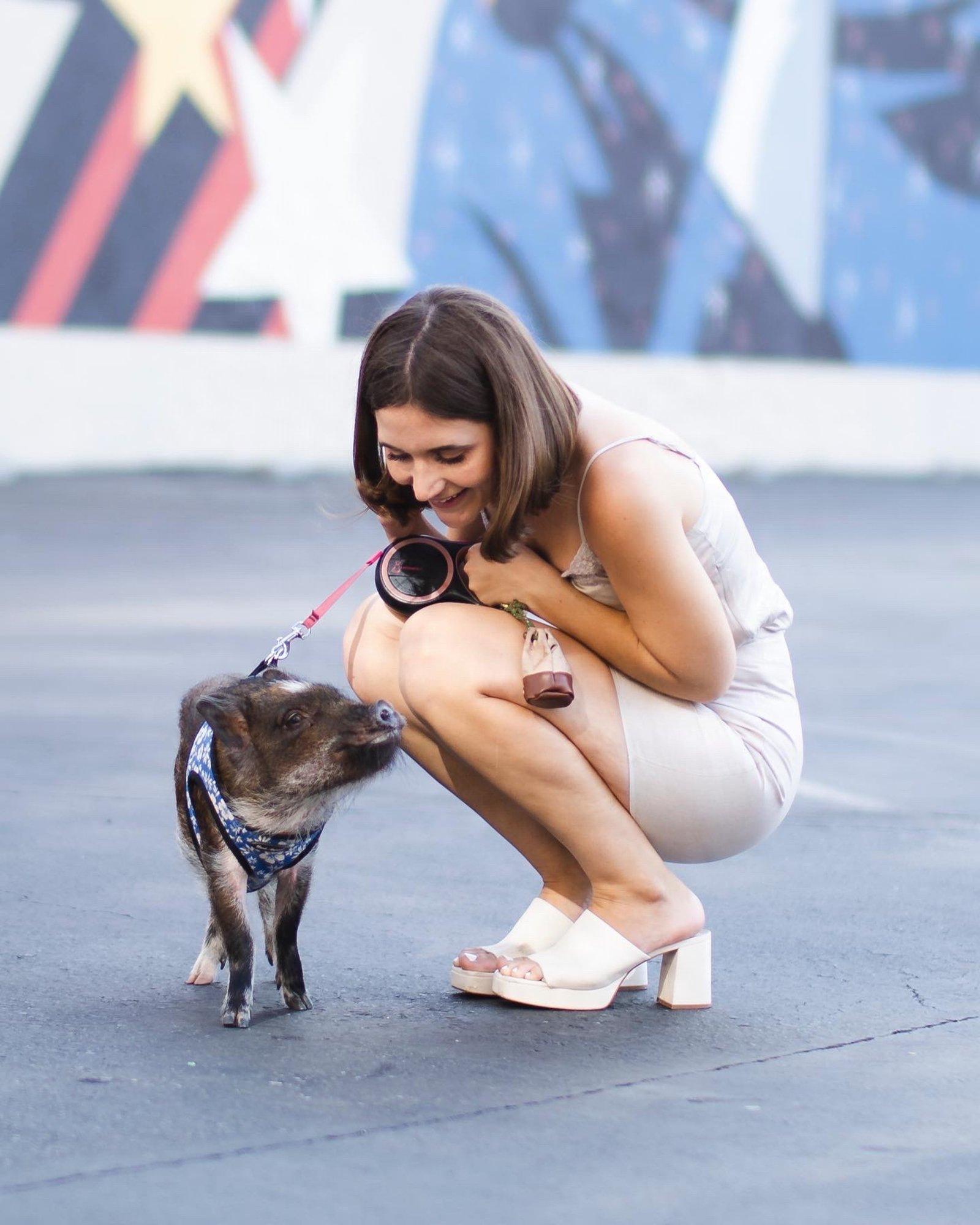Anna käppa ja löö tantsu, notsu! Toasiga võib osutuda koerastki intelligentsemaks