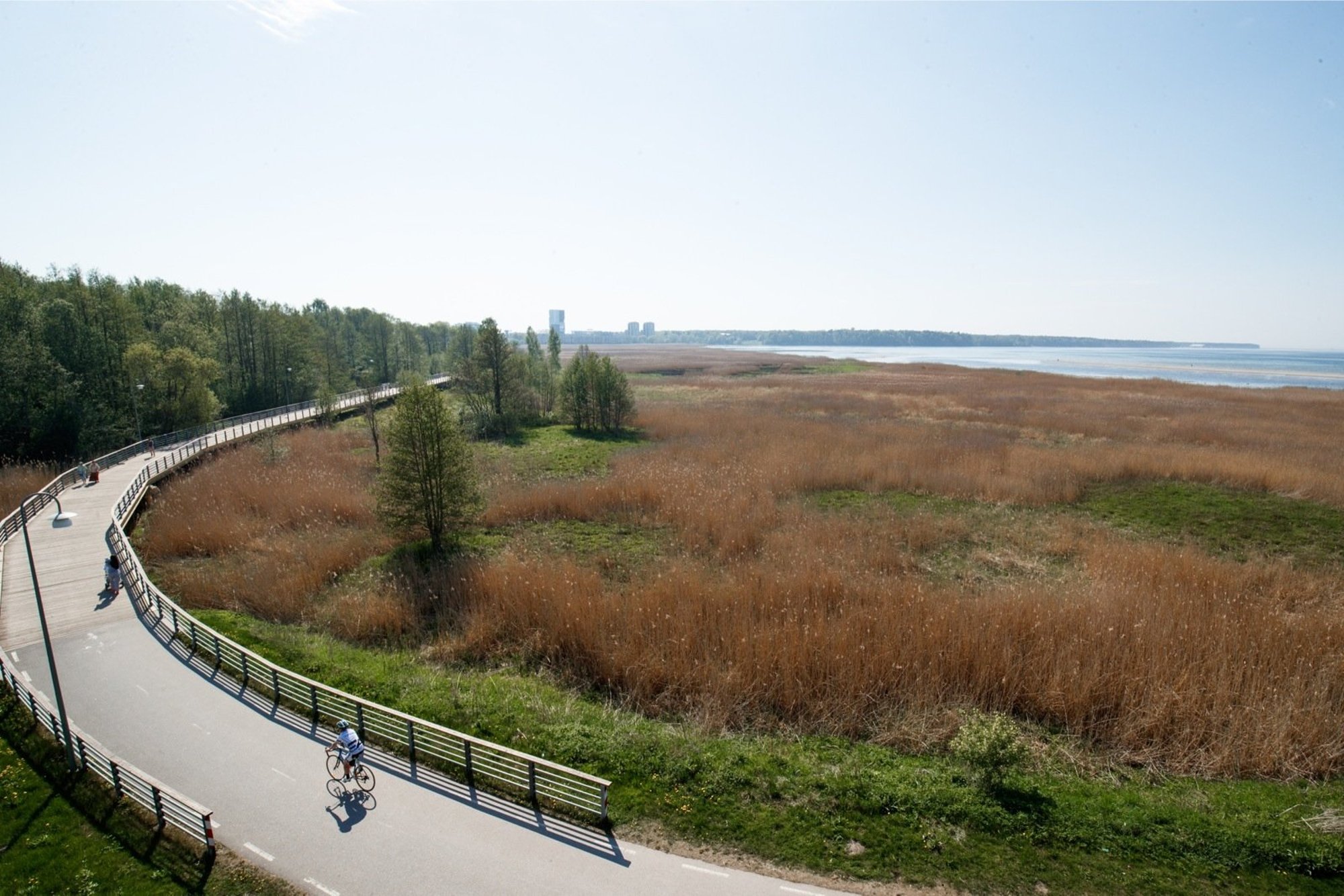VIDEO | Rannaniidul tegutsev võimas harvester sundis loomi paaniliselt pesast põgenema