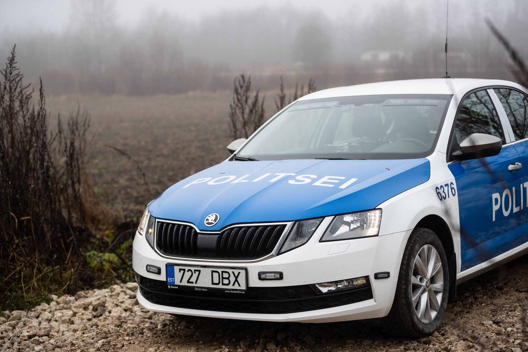 Päev liikluses: vigastada said kaks jalakäijat