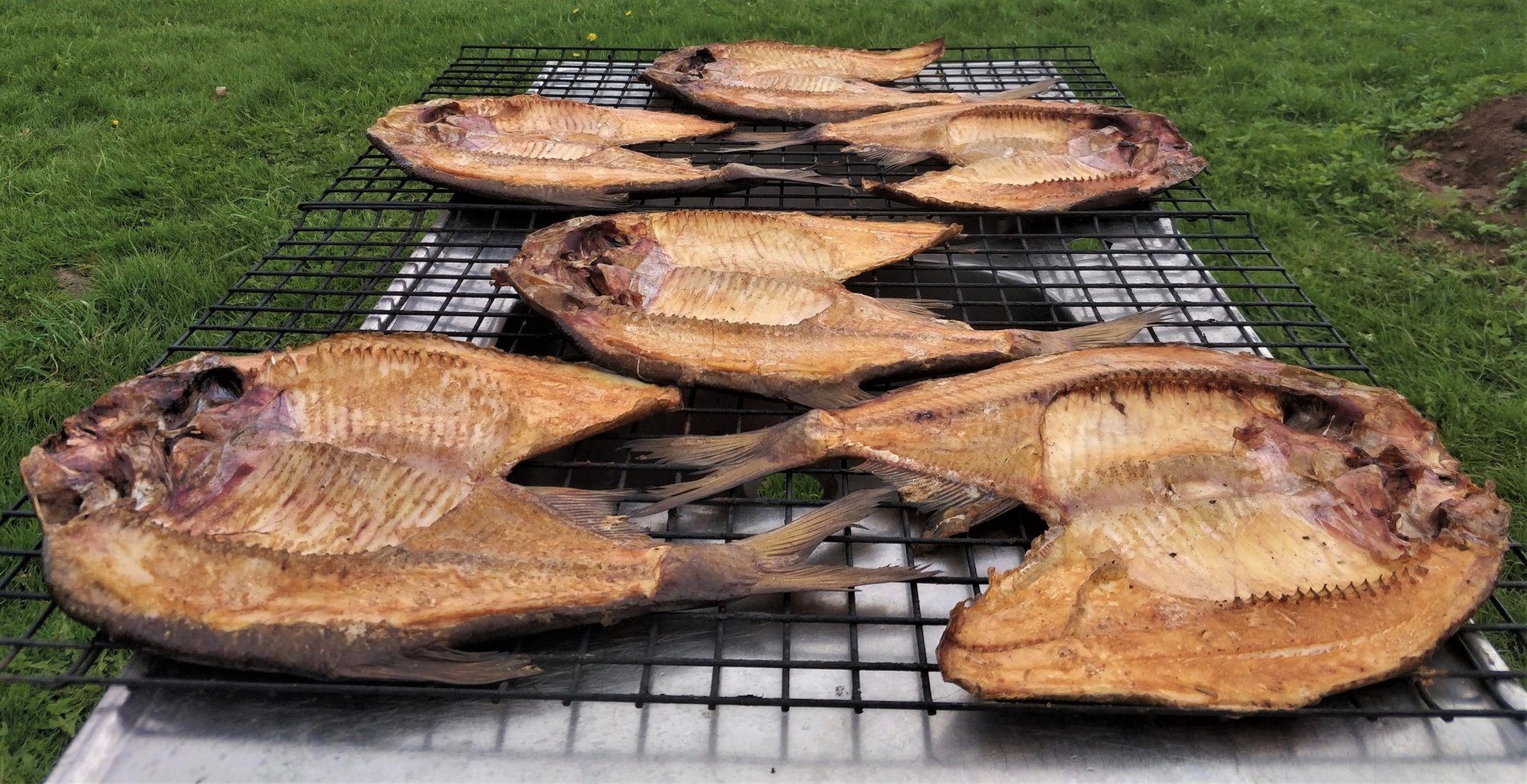 Kalaturul valitseb hinnasõda: latika kilo maksab vaid euro