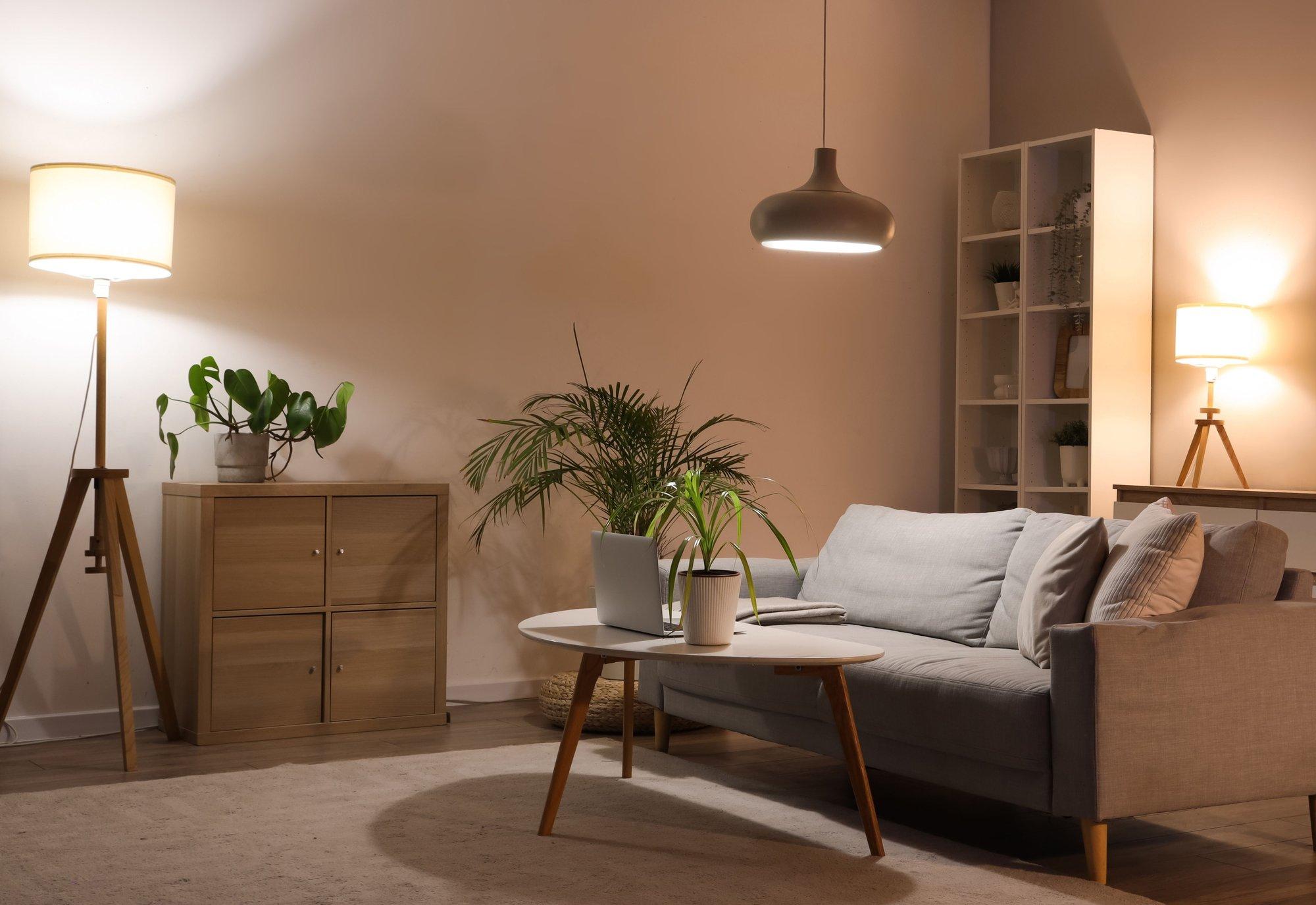 Toataimed, mis ei armasta lauspäikest ja kasvavad hästi ka pimedas toanurgas