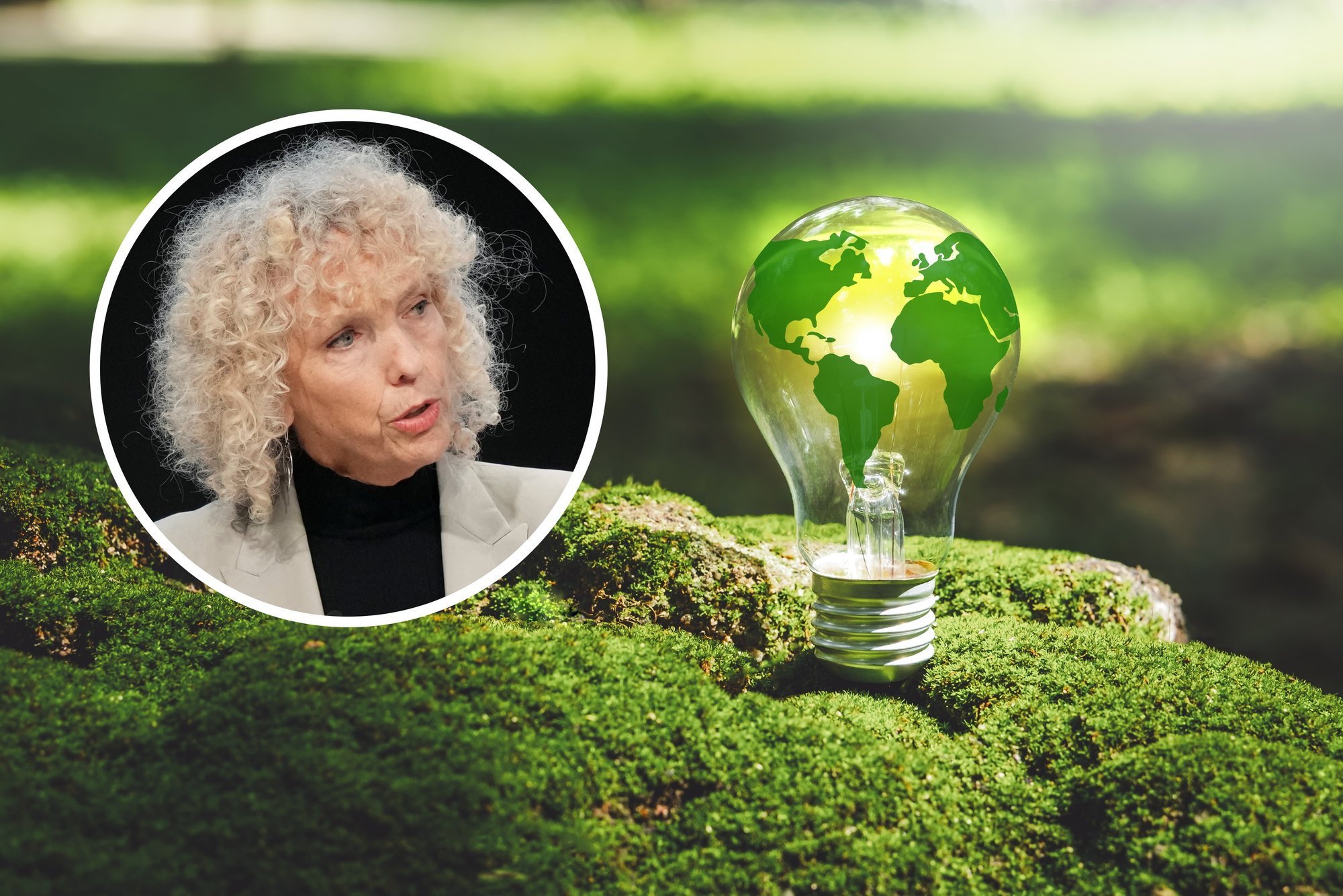 Endine Saksa erisaadik: puhta energia võidukäik on vältimatu. Öelgu Trump, mida tahab