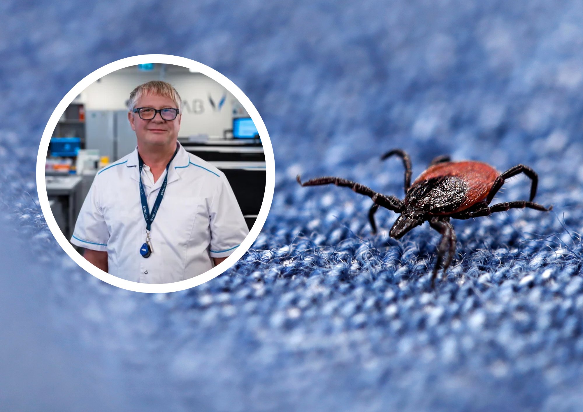 Puugihooaeg kestab. Millal peaks pärast puugihammustust pöörduma arsti poole ja mis juhul on vajalikud analüüsid