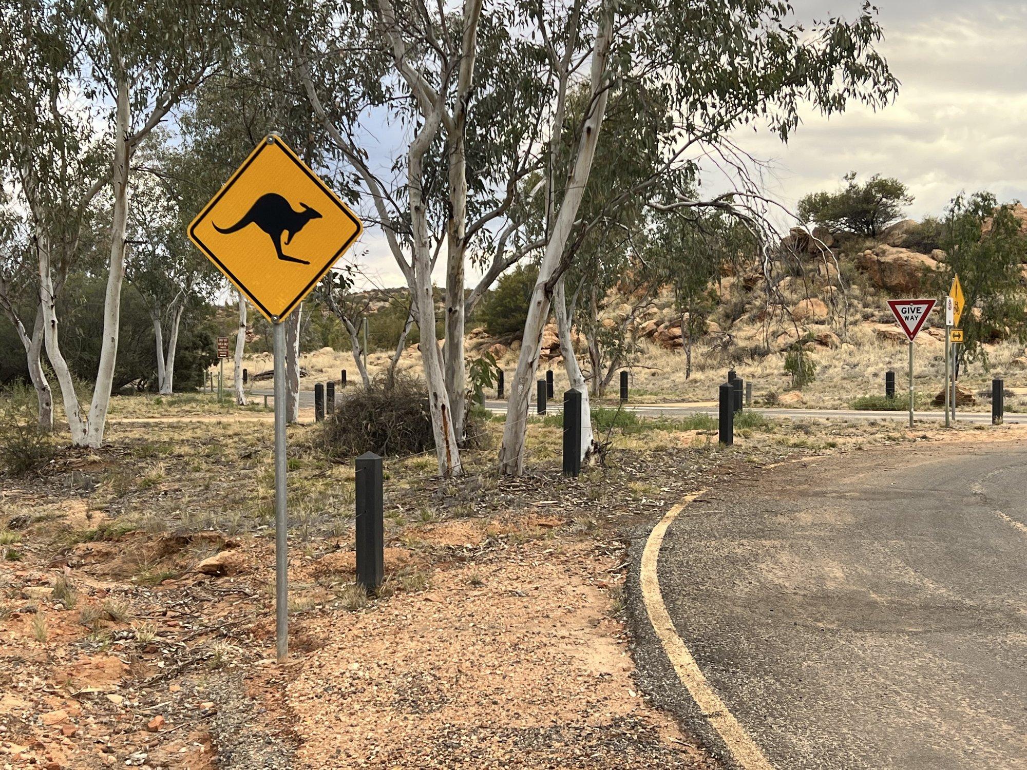 Liiklusõnnetus Austraalias: kiirteel vigastatud kängurut aidanud naised jäid auto alla ja hukkusid
