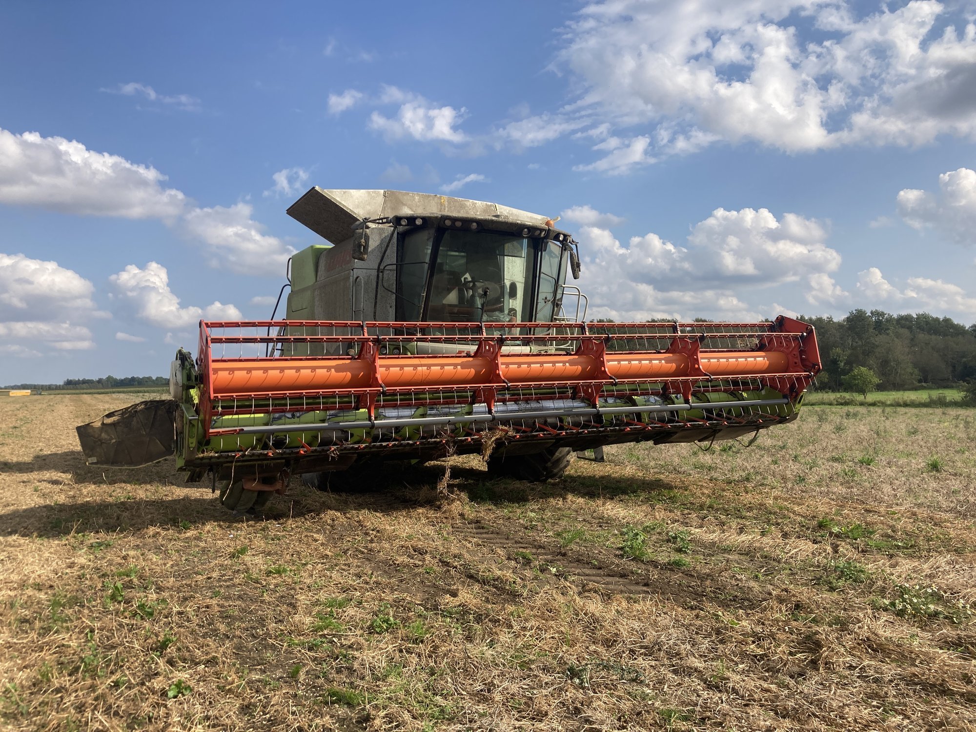 Märg vili ja üüratud kuivatuskulud neelavad põllumeeste kasumi