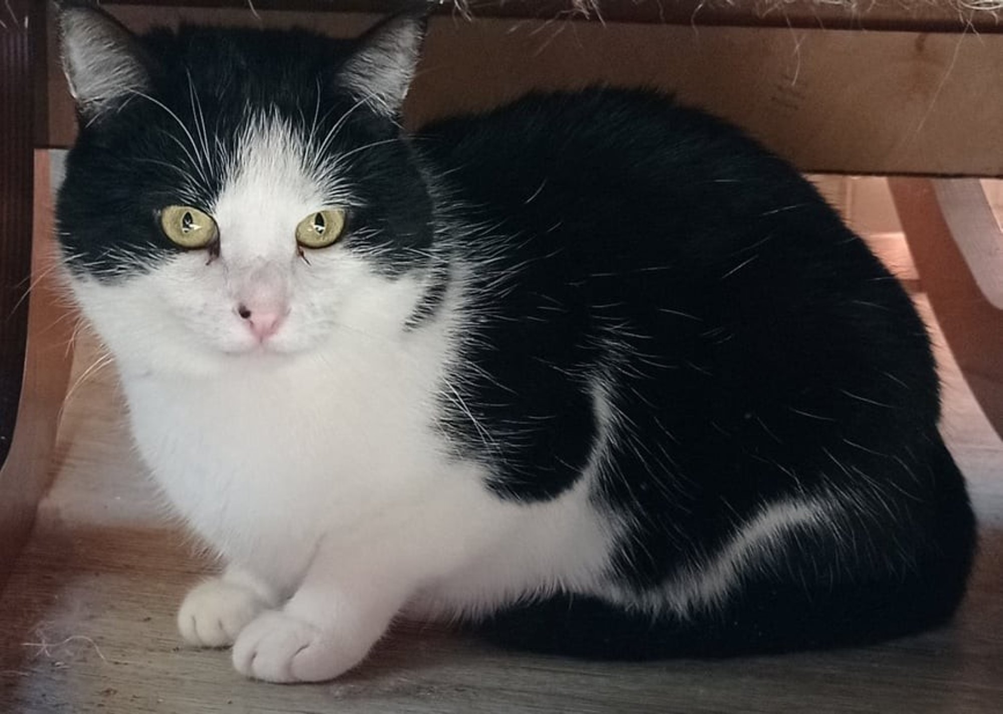 Mars on elanud õndsas teadmatuses oma tegelikust staatusest, ent nüüd haigestusid ta neerud