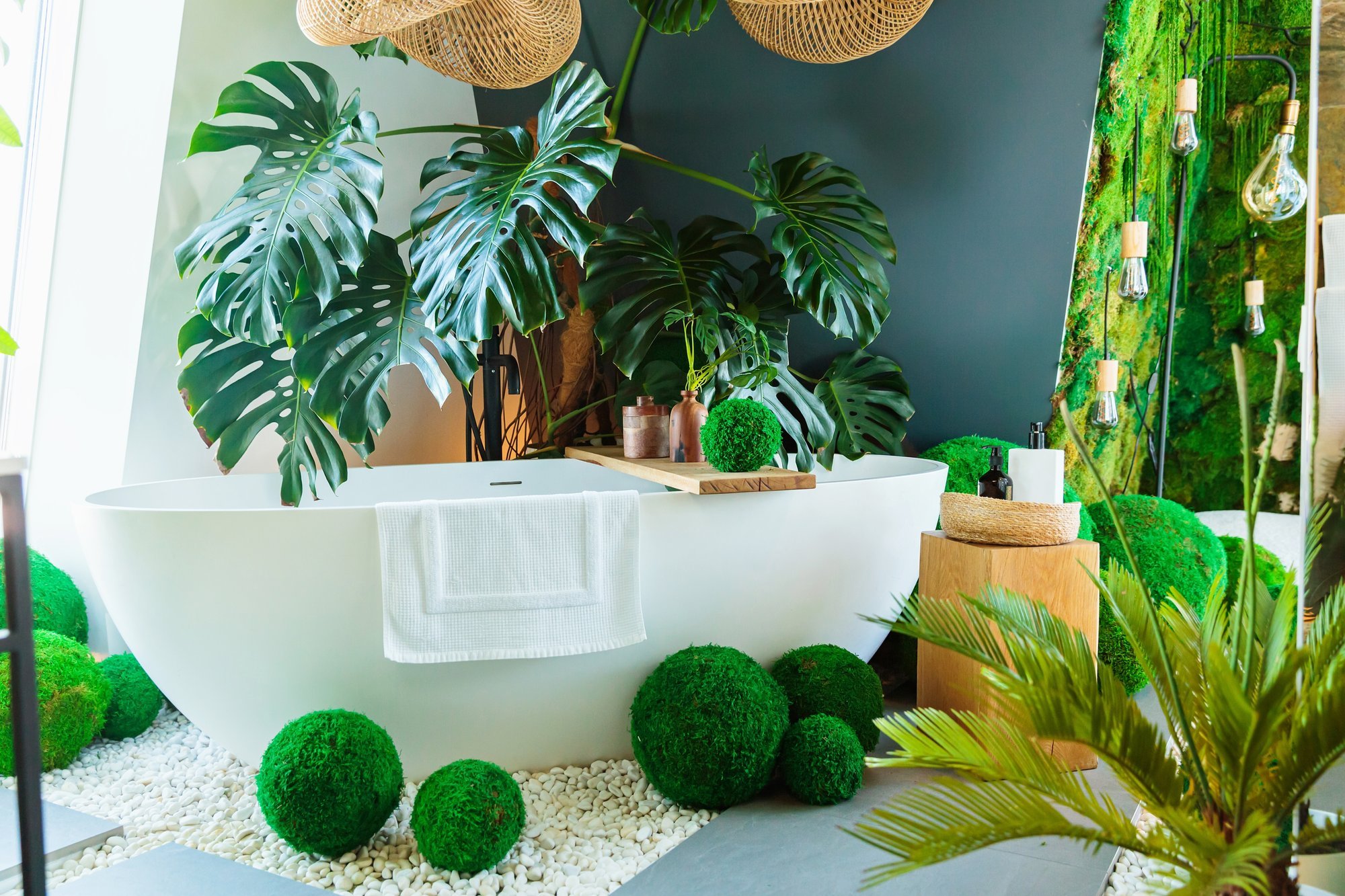 MÜÜT VÕI TÕDE | Kas toataimed tõepoolest puhastavad õhku mürgistest ainetest?