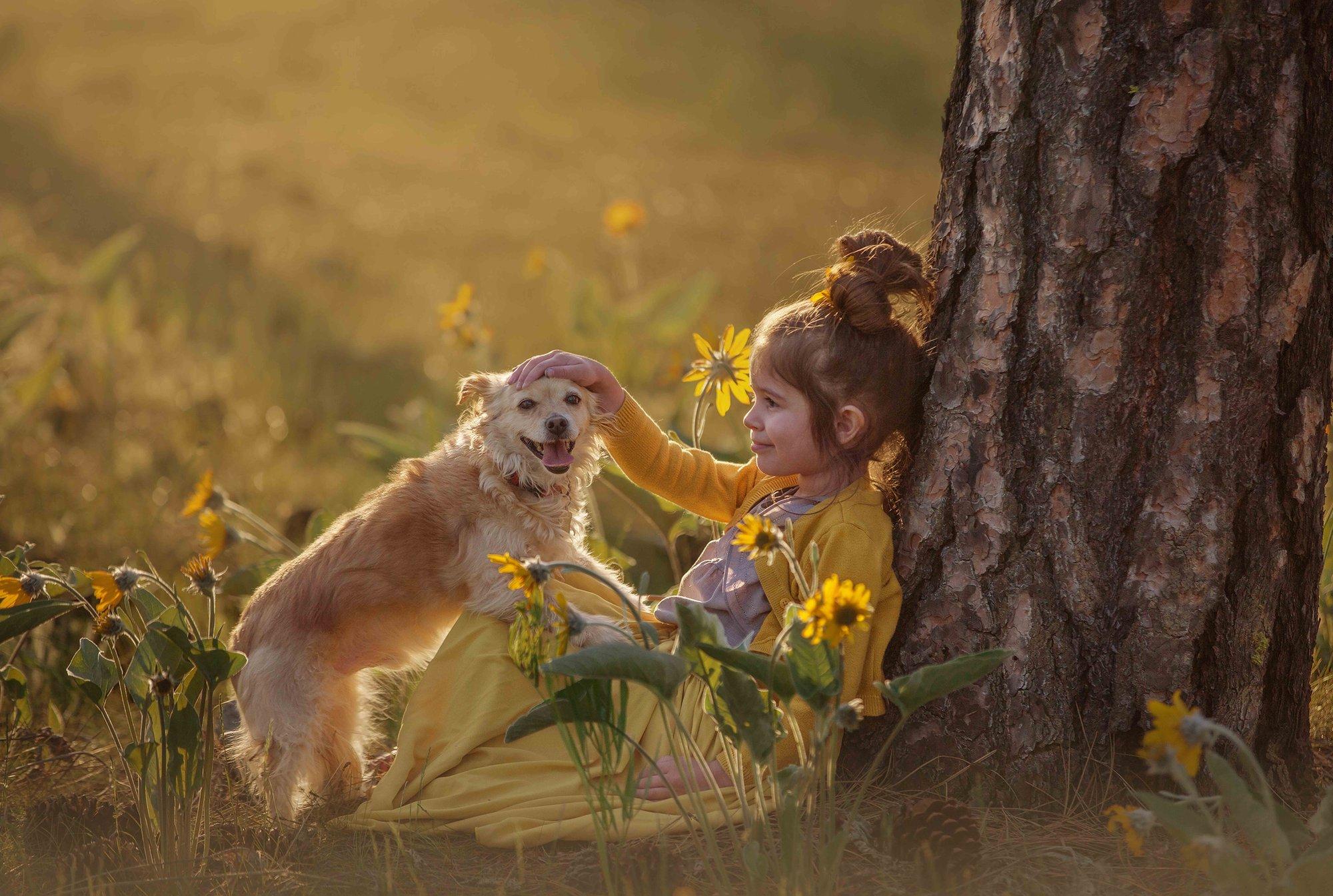 Polegi enam ulme! Katsetamisjärgus ravim võib tulevikus koera eluiga kolmandiku võrra pikendada