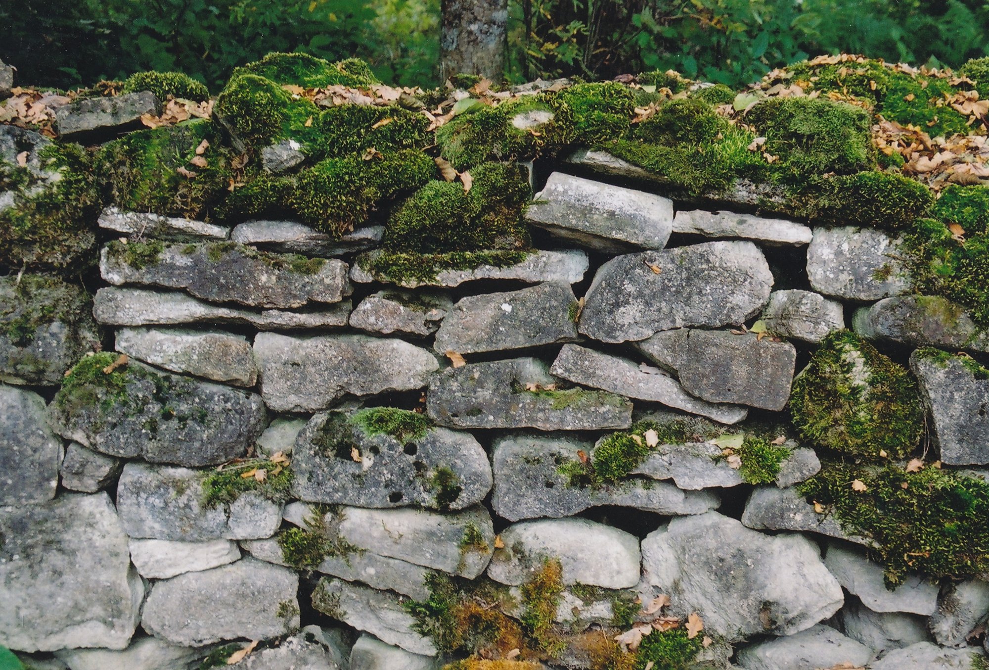 Margus Mikomägi: elu on vabaduse laboratoorium