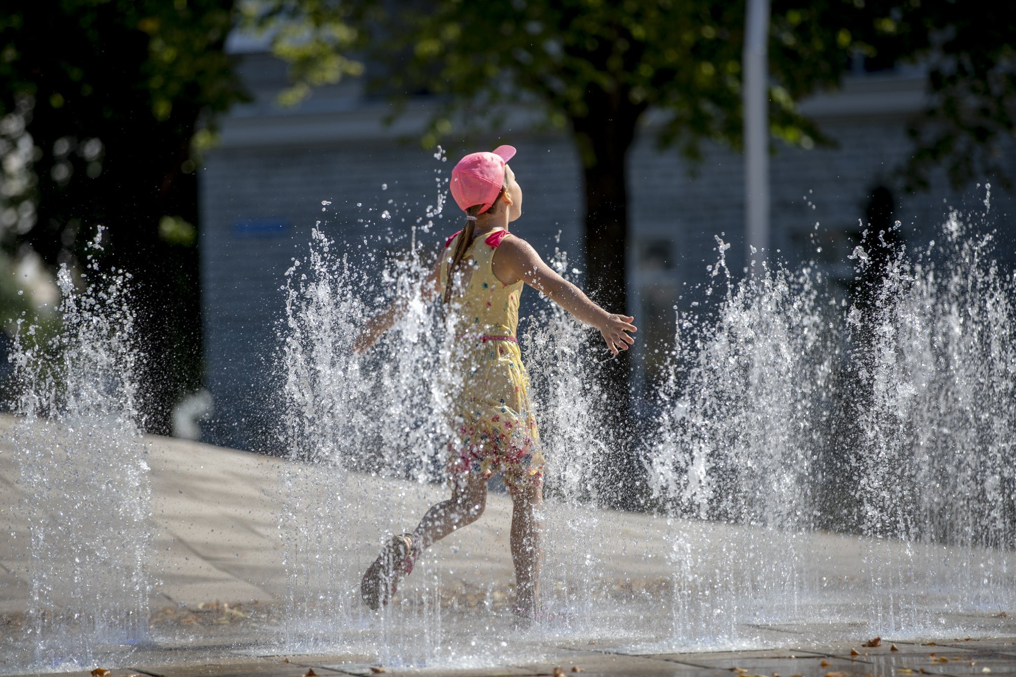 Maalehe suveilma ennustusvõistluse võitis Toomas Tõnissoo Tormast