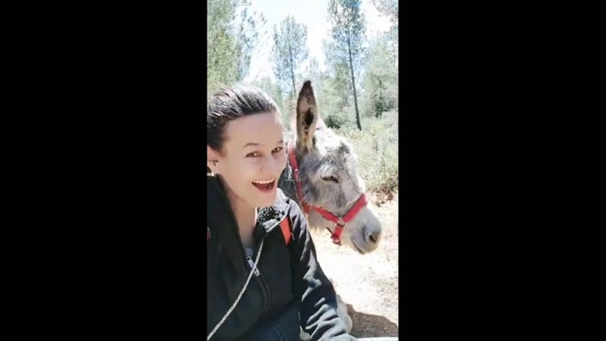 VIDEO | Eesliteraapia eestlaste farmis aitas kolumbialannal leida sisemise tasakaalu