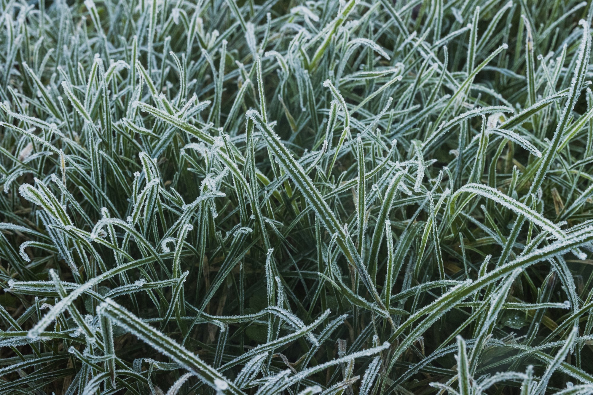 ILMATEADE | Venemaalt tungib sisse külm õhumass