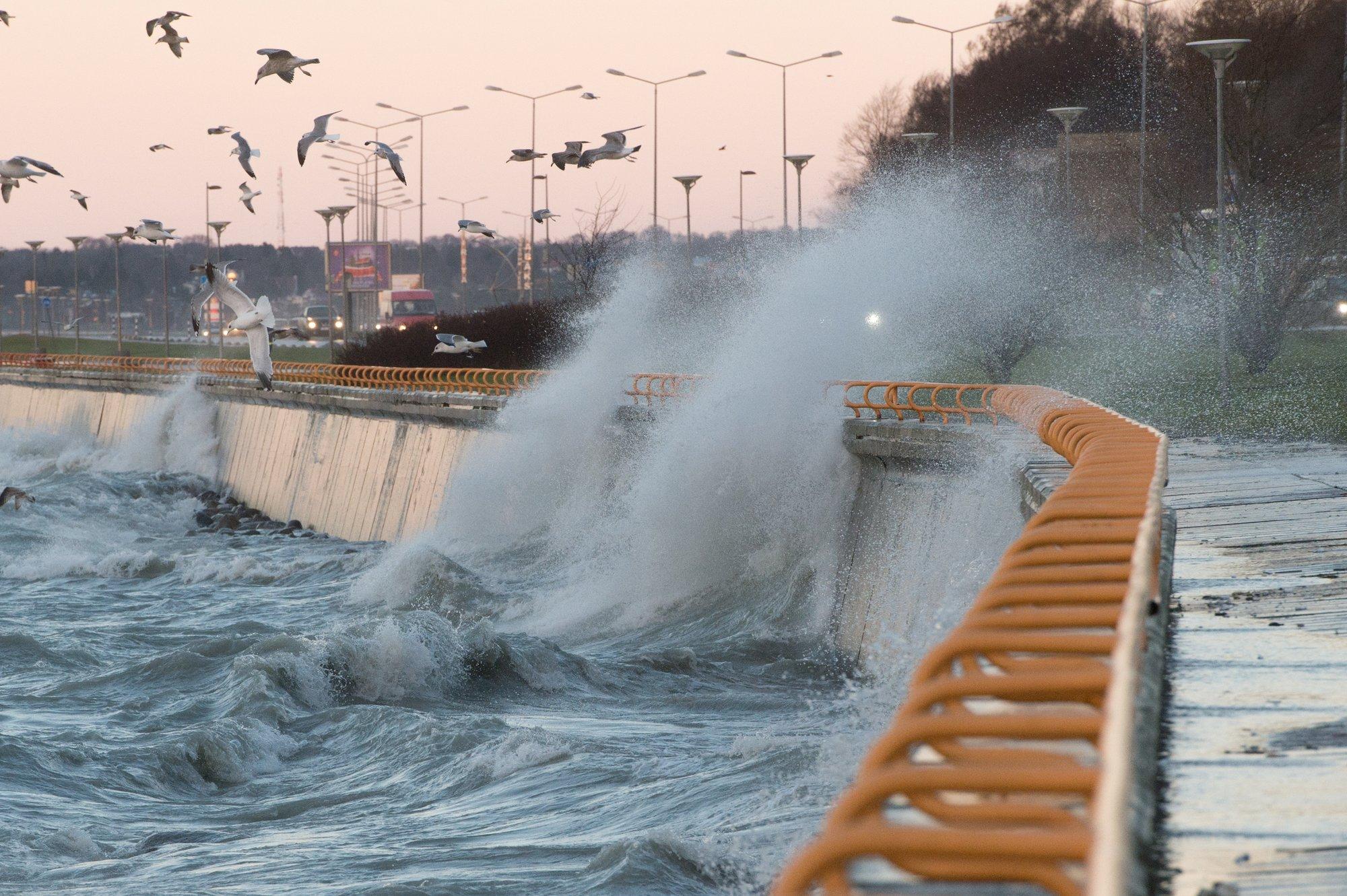 ILMAPROGNOOS | Temperatuur langeb tempokalt 0 kraadi suunas