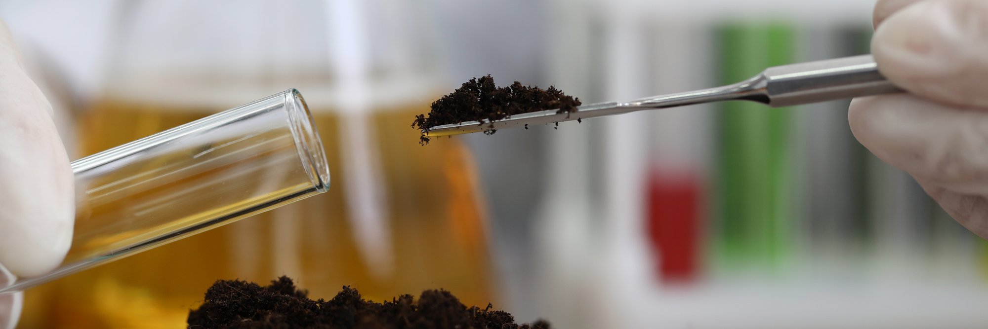 MullaAkadeemia: miks mullaproovid on nii aias kui põllul võtmetähtsusega?